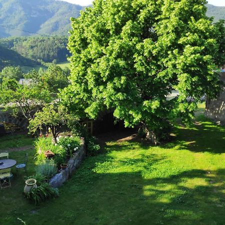 Gite La Taniere Des Alpes Bayons Экстерьер фото
